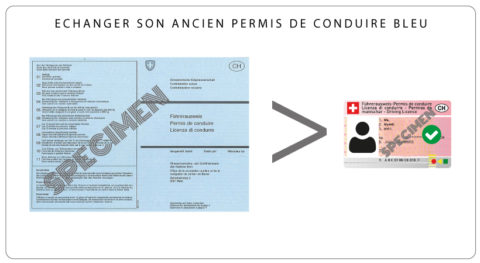Porte-carte D'iatriculation Et D'assurance En Polyuréthane, Boîte à